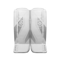 Warrior S30 TW-SchieneYTH