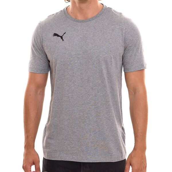 PUMA Teamgoal T-Shirt Grey Men - 2 Pack