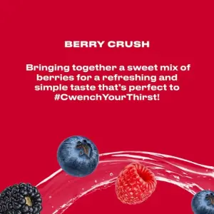 Pro Hydration Blend * Berry Crush 45 Pack